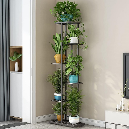 20 Creative Flower Pot Designs For Home In India 2024