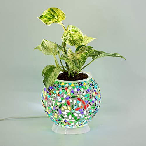 20 Creative Flower Pot Designs For Home In India 2024