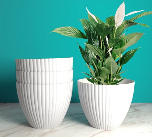20 Creative Flower Pot Designs For Home In India 2024