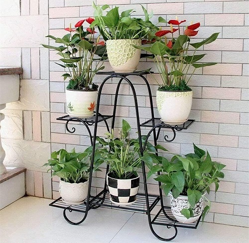 20 Creative Flower Pot Designs For Home In India 2024