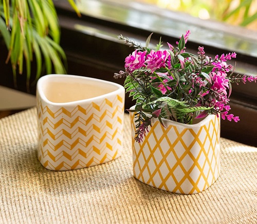 20 Creative Flower Pot Designs For Home In India 2024