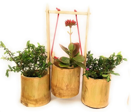 20 Creative Flower Pot Designs For Home In India 2024
