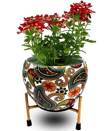 20 Creative Flower Pot Designs For Home In India 2024