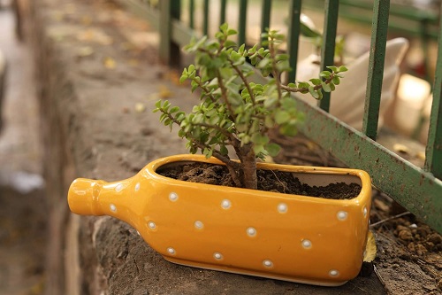 20 Creative Flower Pot Designs For Home In India 2024