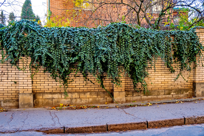 18 Impressive and Classy Brick Wall Designs for Your Home