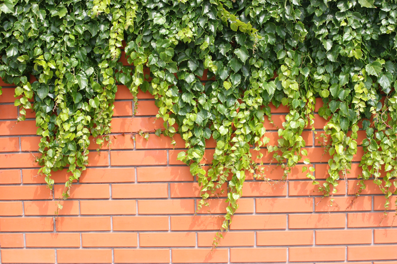 18 Impressive and Classy Brick Wall Designs for Your Home