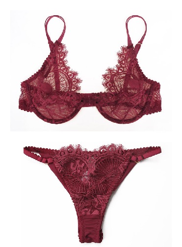 Top 9 Women's Tanga Panties and Its Features