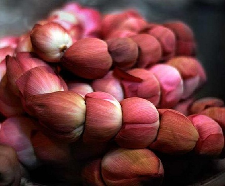 Top 9 Beautiful Flower Necklace Designs for Special Occasions