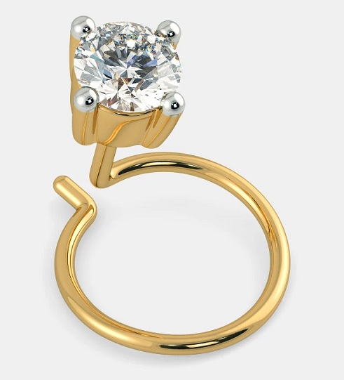 Small Size Nose Rings - 15 Stunning Designs Are Trending Now