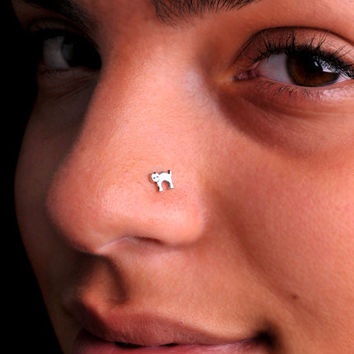 Small Size Nose Rings - 15 Stunning Designs Are Trending Now