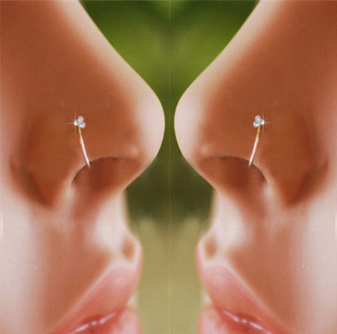 Small Size Nose Rings - 15 Stunning Designs Are Trending Now
