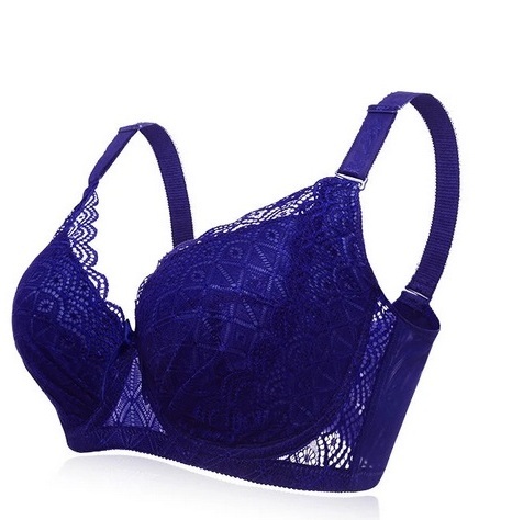 Plus Size Bras Collection - Top 10 Latest Models in India