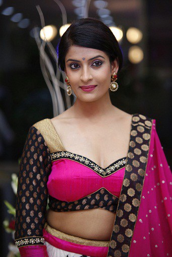 25 Trending Deep Neck Blouse Designs for Alluring Look