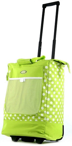 25 Best Collection of Trolley Bags for Travel Needs