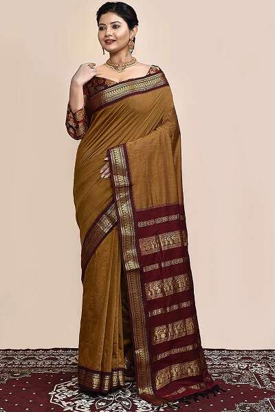 15 New Models of Brown Sarees for Beautiful Look
