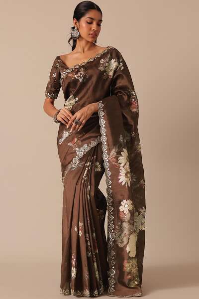 15 New Models of Brown Sarees for Beautiful Look