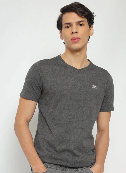 9 Trendy Designs of Grey T Shirts With Different Necklines
