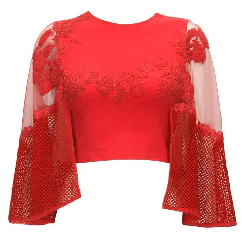 40 Best Collection of Lehenga Blouse Designs in Fashion World