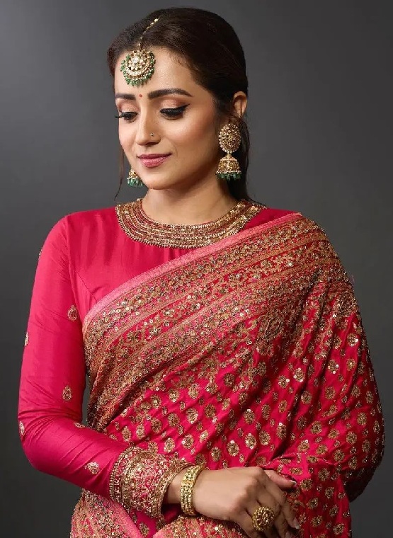 ब्लाउज के बाजू का डिजाइन: 15 Naya Wala Blouse Ka Baju Designs