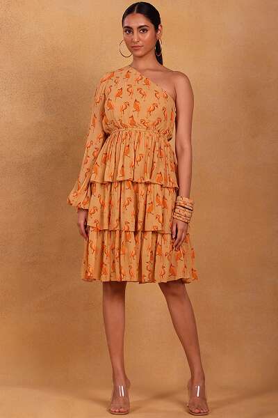 20 Elegant Models of Ruffle Style Dresses That Will Impress You