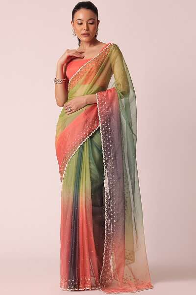 15 Elegant Designs of Fancy Sarees and Its Styling Tips