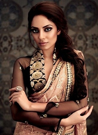 30+ Elegant Collar Neck Blouse Designs for Wedding Attire 2024