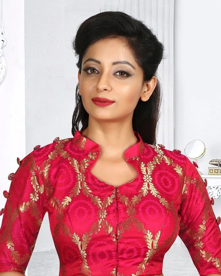 40+ Fashionable Front Neck Blouse Designs for 2024