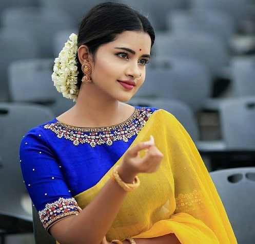 40+ Fashionable Front Neck Blouse Designs for 2024